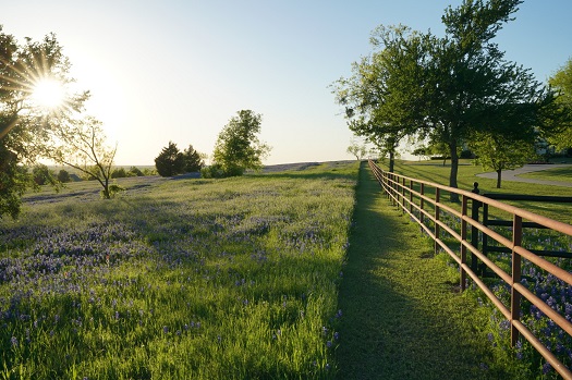 That Country Life 10 Reasons Why Rural Living Is Good For Your Health